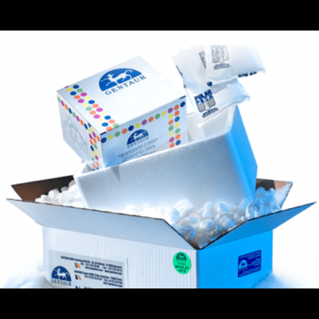 AtheNA TPO/Tg Plus Kit - 96 tests