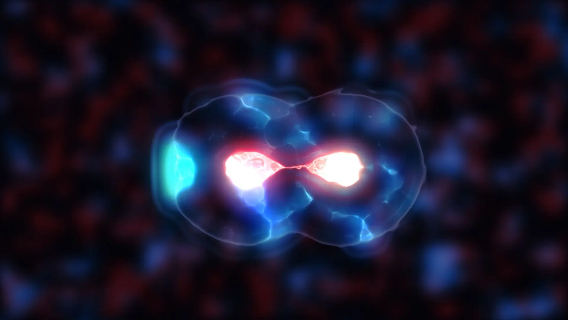 Amorcyte Cell